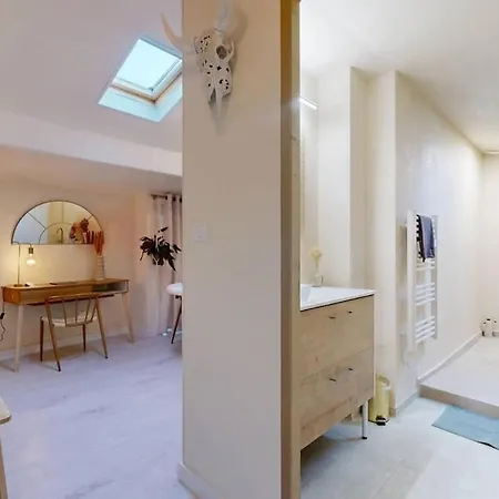 De Charme Au Coeur De La Rose Appartement Toulouse