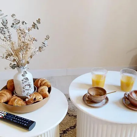 De Charme Au Coeur De La Rose Toulouse