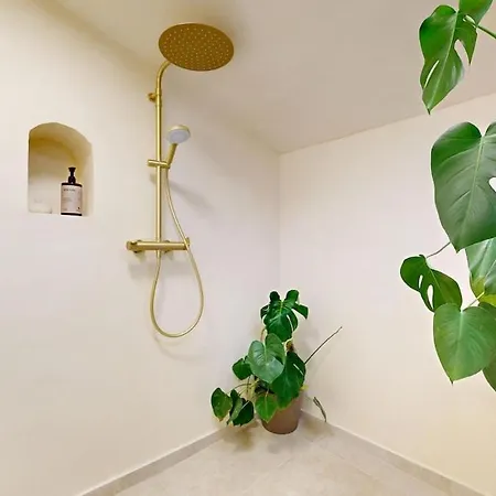De Charme Au Coeur De La Rose Appartement