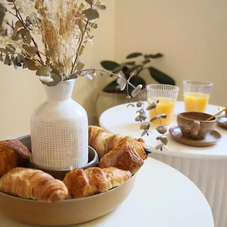 Appartement De Charme Au Coeur De La Rose Toulouse