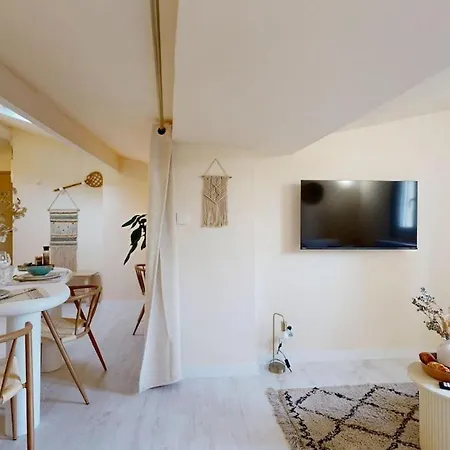 Appartement De Charme Au Coeur De La Rose Toulouse