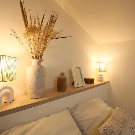 Appartement De Charme Au Coeur De La Rose Toulouse